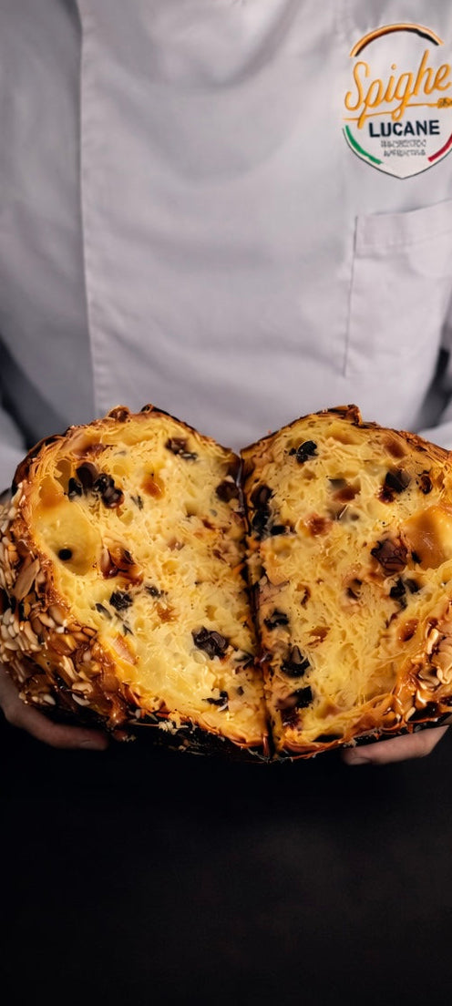 Colomba artigianale Cioccolato & Albicocca Kg.1