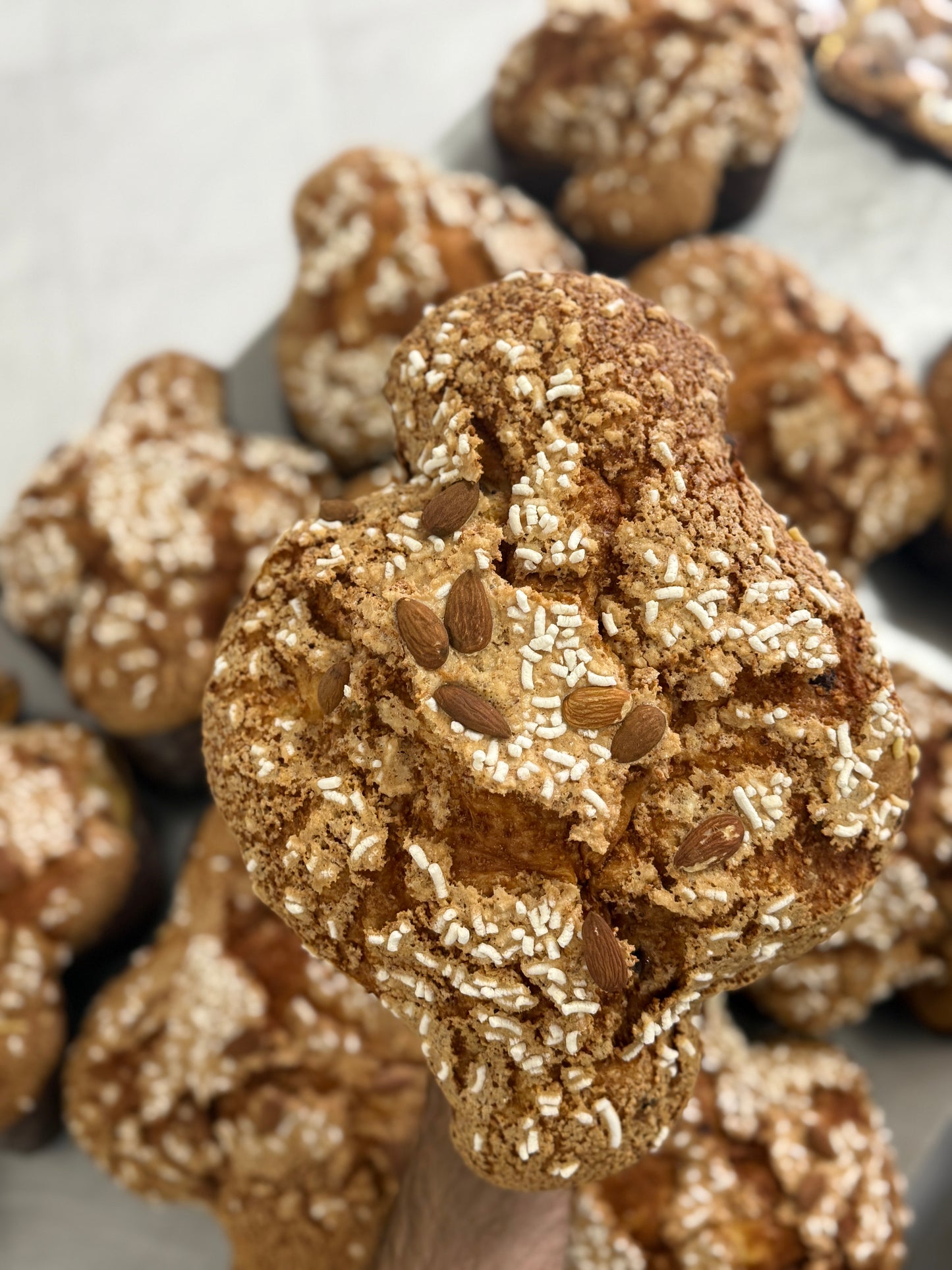 Colomba artigianale classica kg. 1